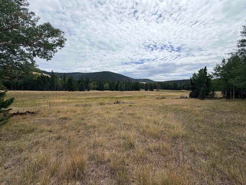 Lot 192 Meadow Glenn, Angel Fire, NM, 87710 | Card Image