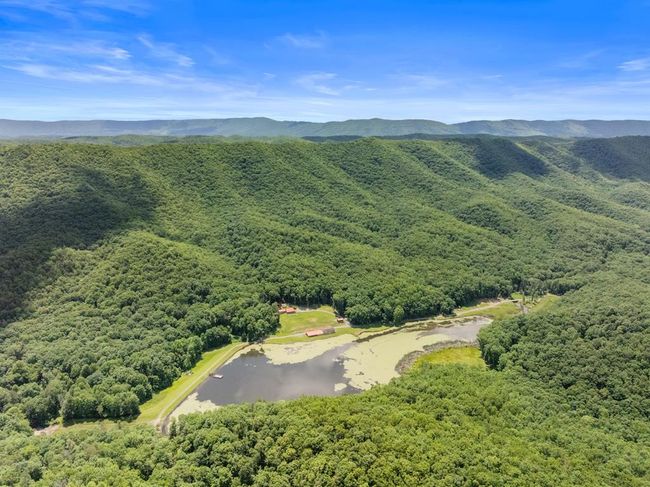 1071 Lodge Dr, Home with 4 bedrooms, 2 bathrooms and null parking in Bastian VA | Image 75