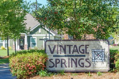 Vintage Springs Entry-1 | Image 2