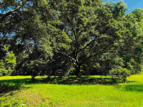 TBD E Bay St, Georgetown, SC, 29440 | Card Image