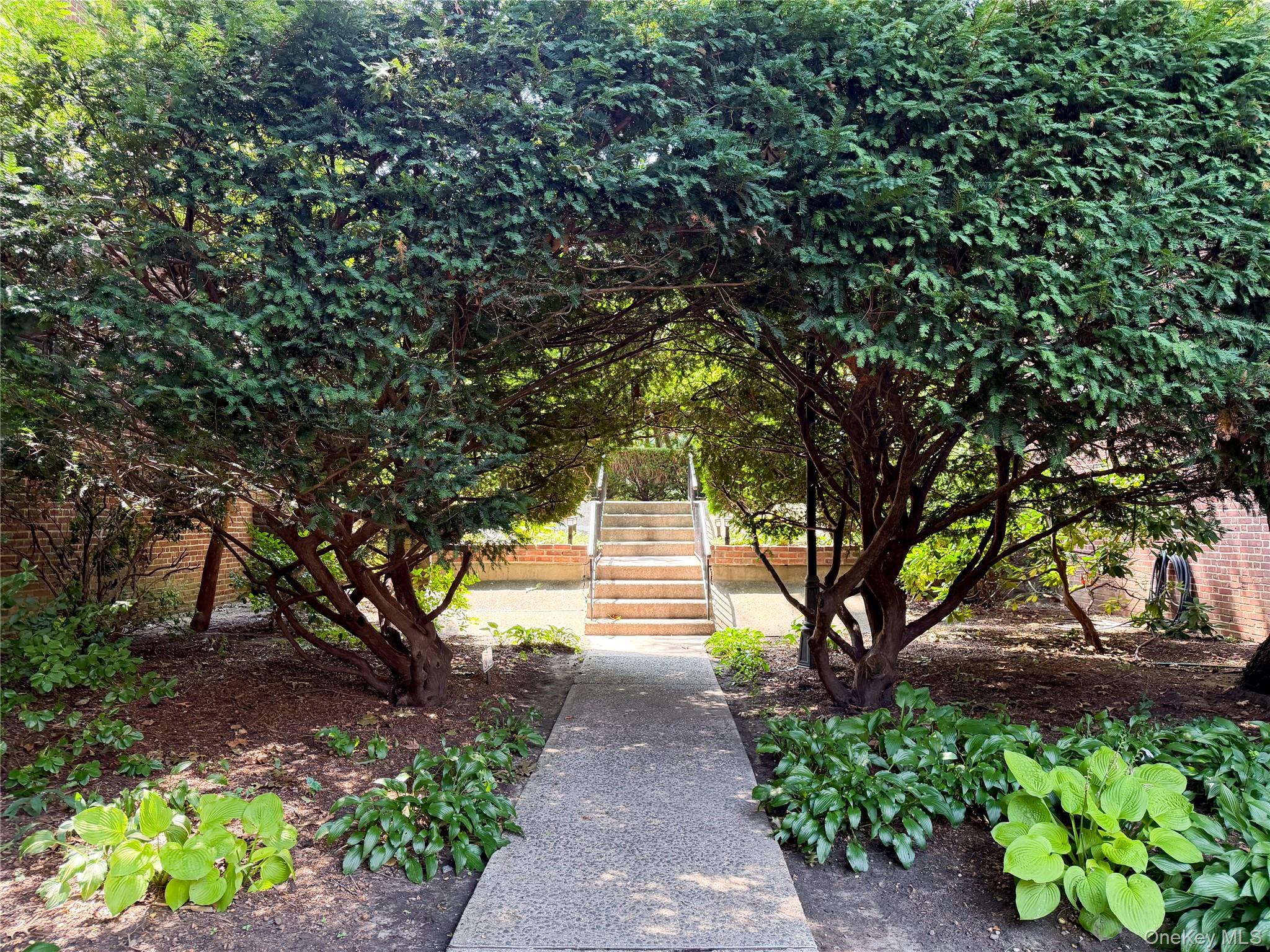 Residential in White Plains 2