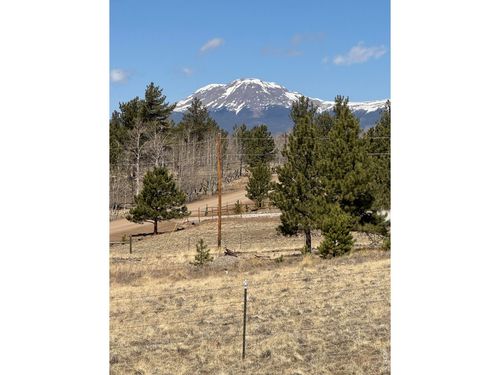 2841 Singletree Rd, Hartsel, CO, 80449-8543 | Card Image