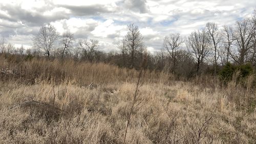 4002 Deans Shop Rd, Estill Springs, TN, 37330-5116 | Card Image