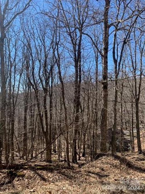 96-337 Hamlin Ln, Mars Hill, NC, 28754 | Card Image