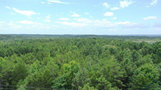 0000 Fm 3421, Home with 0 bedrooms, 0 bathrooms and null parking in Lone Star TX | Image 8