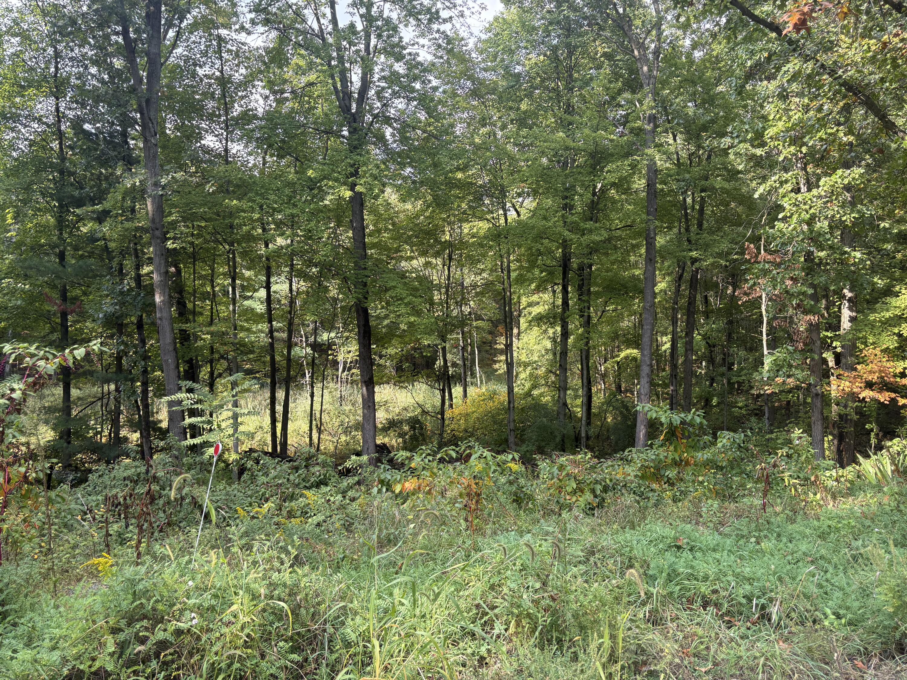 Land in Norton Shores 4