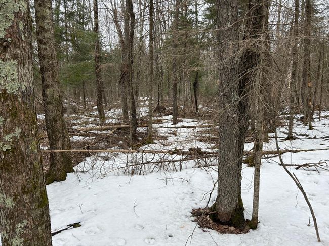 743 Woodlawn Rd, House other with 2 bedrooms, 1 bathrooms and null parking in Pickerel WI | Image 69