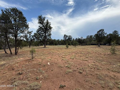 147-3048 Chevelon Road, Overgaard, AZ, 85933 | Card Image
