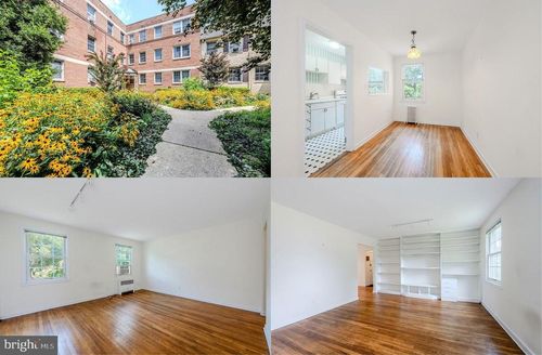 apt-203-2219 Washington Ave, SILVER SPRING, MD, 20910-2628 | Card Image