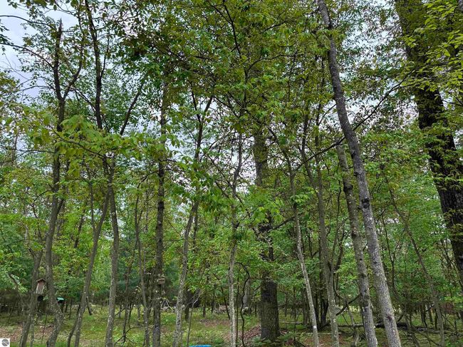 6239 Blackberry Dr, House other with 3 bedrooms, 1 bathrooms and null parking in Alger MI | Image 58