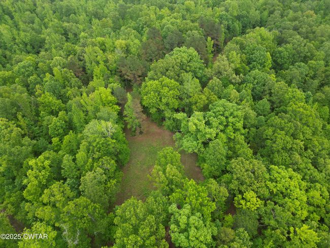 0 Buggy Branch Ln, Home with 0 bedrooms, 0 bathrooms and null parking in Cedar Grove TN | Image 6