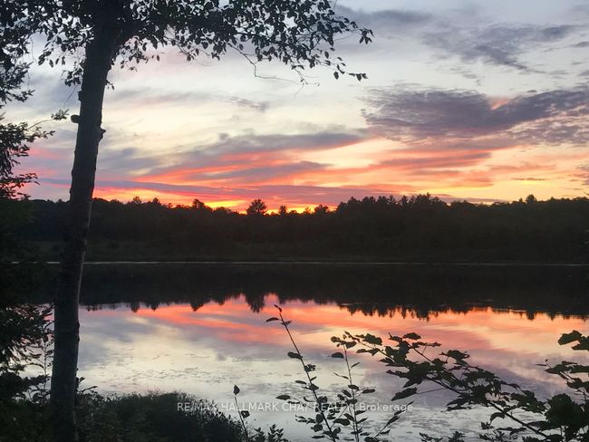 1133 Fire Route A1, Home with 0 bedrooms, 0 bathrooms and 4 parking in Gravenhurst ON | Image 23