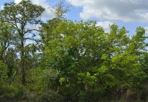 486 Kulwicki Dr, Venus, FL, 33960-2379 | Card Image