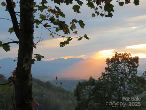 14-5 Soaring Hawk Vw, Asheville, NC, 28804-0120 | Card Image