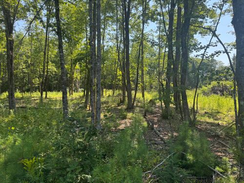 TBD Brookside Lane, Appleton, ME, 04862 | Card Image