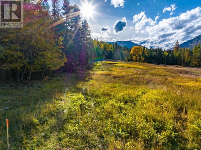 Lot 1 Corn Creek Rd, Home with 0 bedrooms, 0 bathrooms and null parking in Creston BC | Image 7
