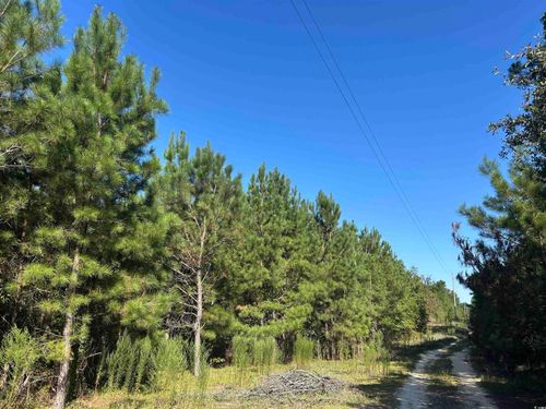 TBD Oakland Rd, Hamer, SC, 29547 | Card Image