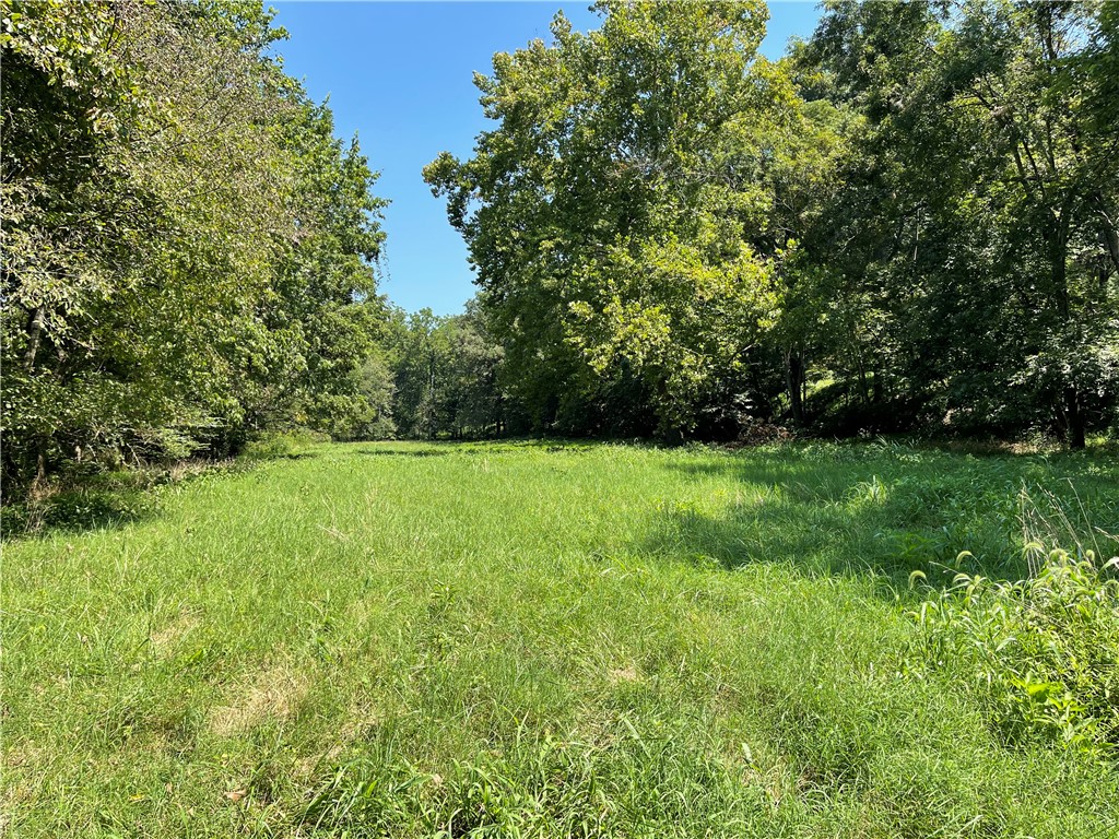 Land in Siloam Springs 3
