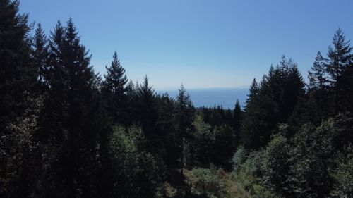 Lot 1 Firburn Road, Roberts Creek, BC, V0N2W5 | Card Image