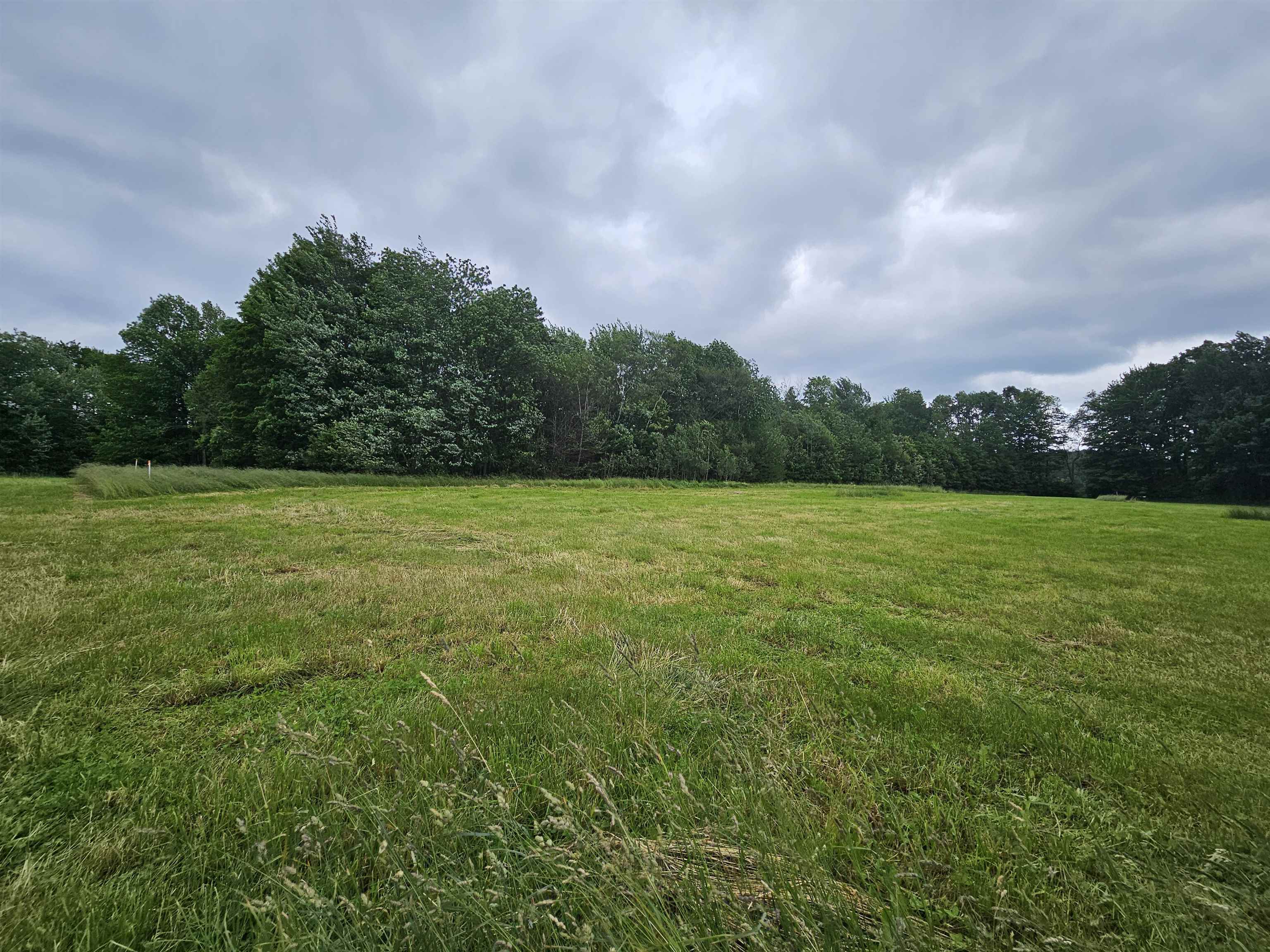 Land in Hyde Park 5