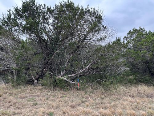 8304 Southerness Ln, Cleburne, TX, 76033 | Card Image