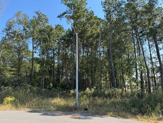 125 Yaupon Ct, Home with 0 bedrooms, 0 bathrooms and null parking in Lufkin TX | Image 4