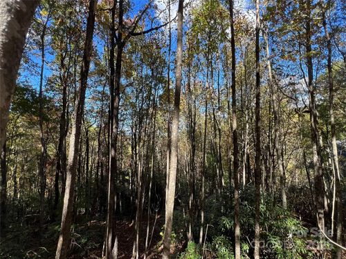 46-0 Wild Magnolia Way, Zirconia, NC, 28790 | Card Image