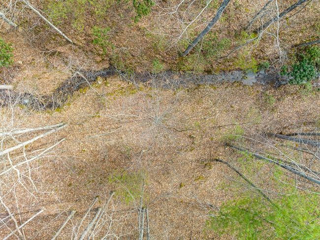 Lot12/14 Lake Forest Lane, Home with 0 bedrooms, 0 bathrooms and null parking in Bland VA | Image 24