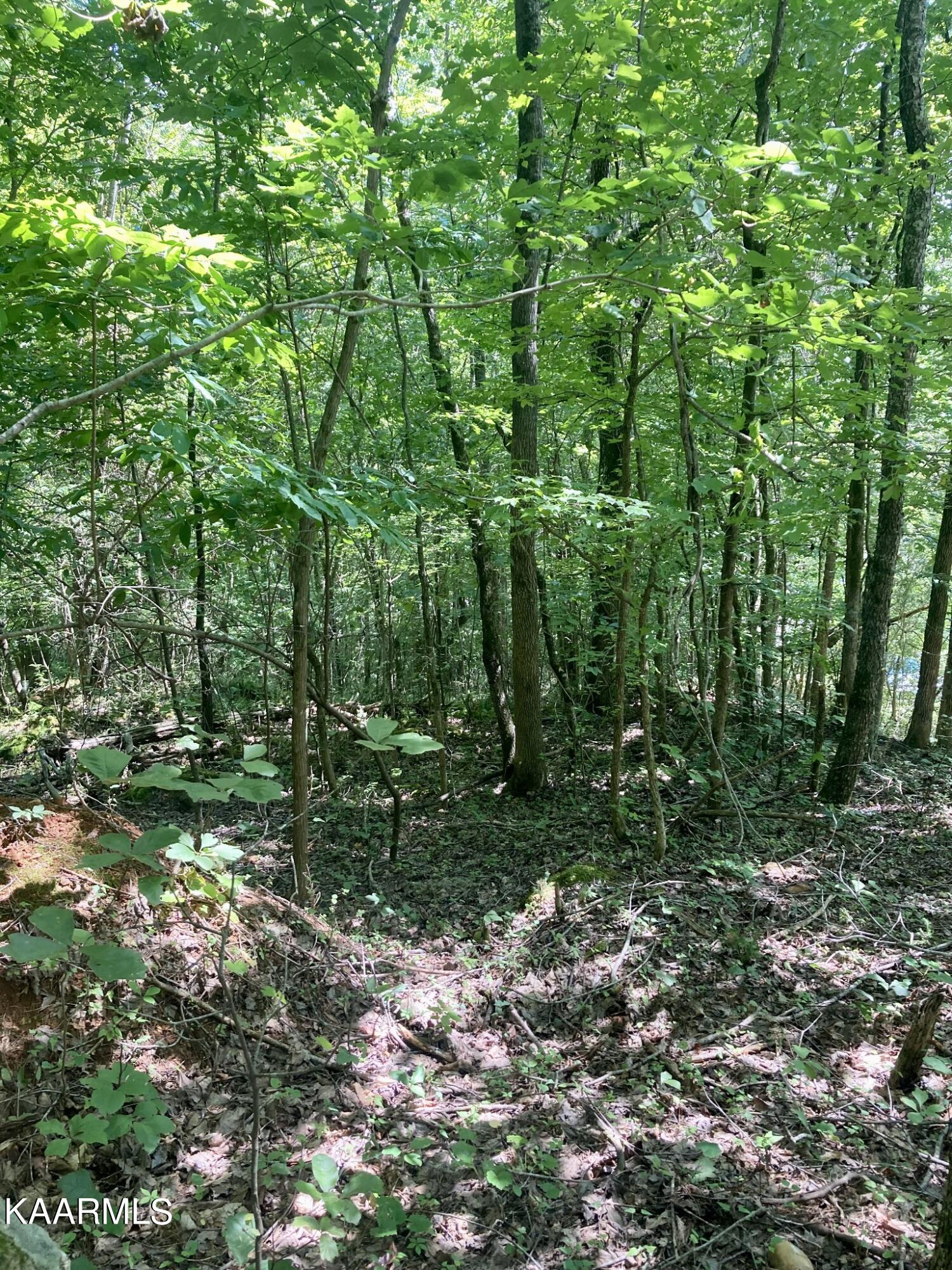 Land in Spring City 5