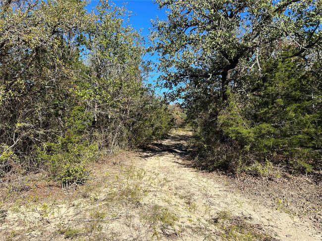 2 - 1673 County Road 295, House other with 4 bedrooms, 3 bathrooms and null parking in Hico TX | Image 24