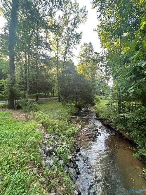 3.9 Acres County Road 212, Collinsville, AL, 35961 | Card Image