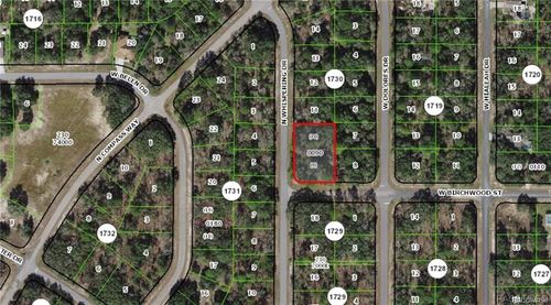 6397 N Whispering Drive, DUNNELLON, FL, 34434 | Card Image