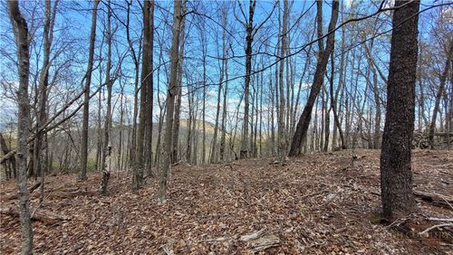 123/126 W Blueberry Lane, Beech Mountain, NC, 28604 | Card Image