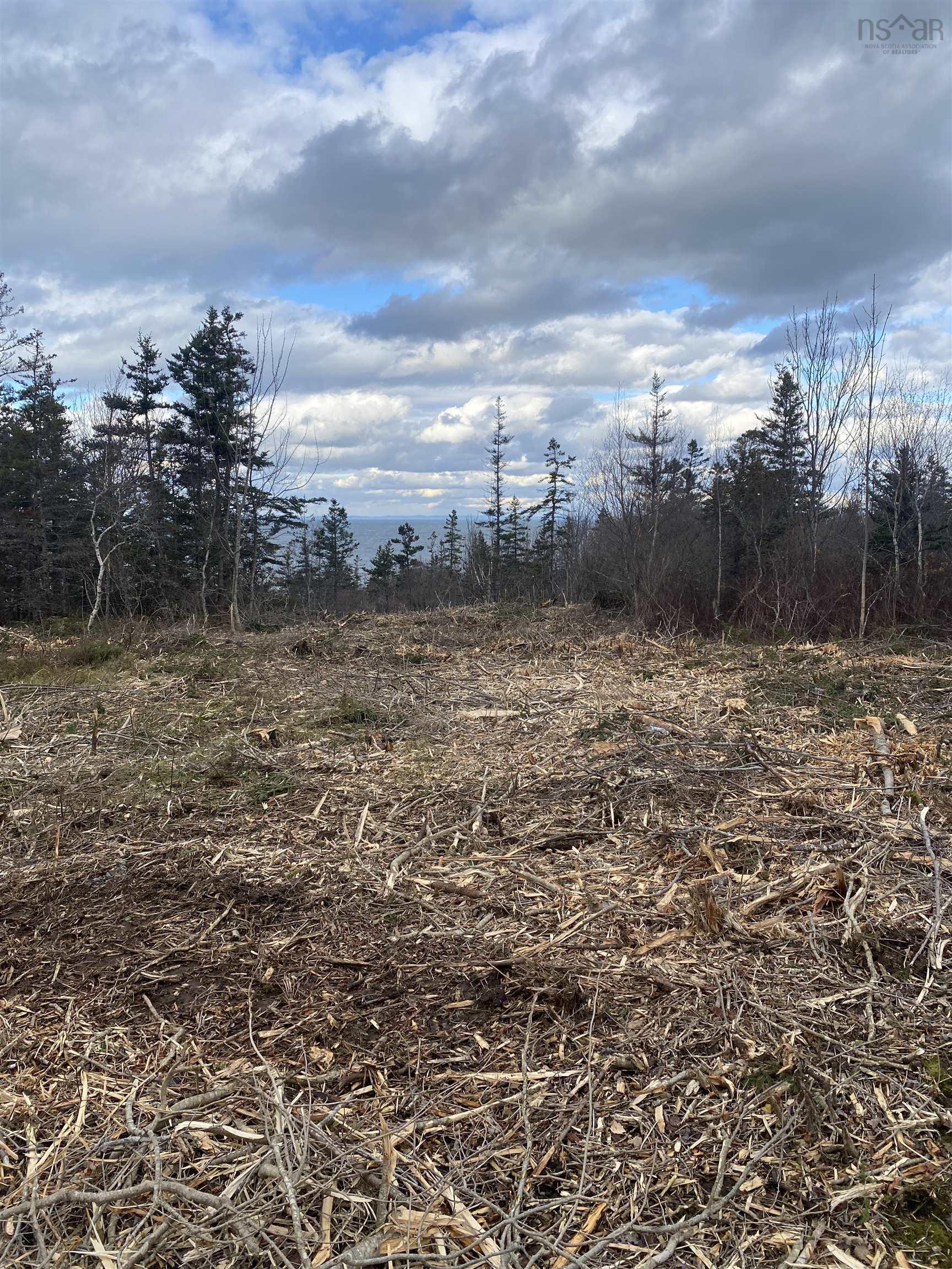 Land in Phinneys Cove 2