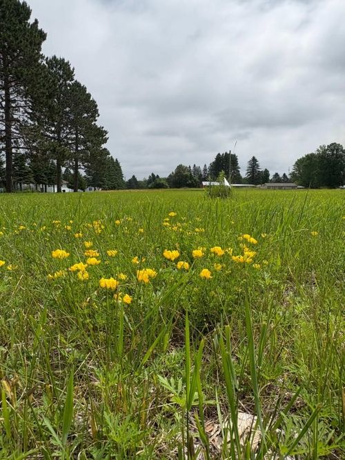 Xxxx Wrenshall St, Wrenshall, MN, 55797 | Card Image