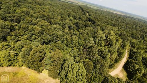 2 County Road 449, Pollard, AR, 72456 | Card Image
