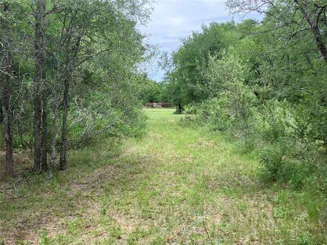 View of tree filled area | Image 6