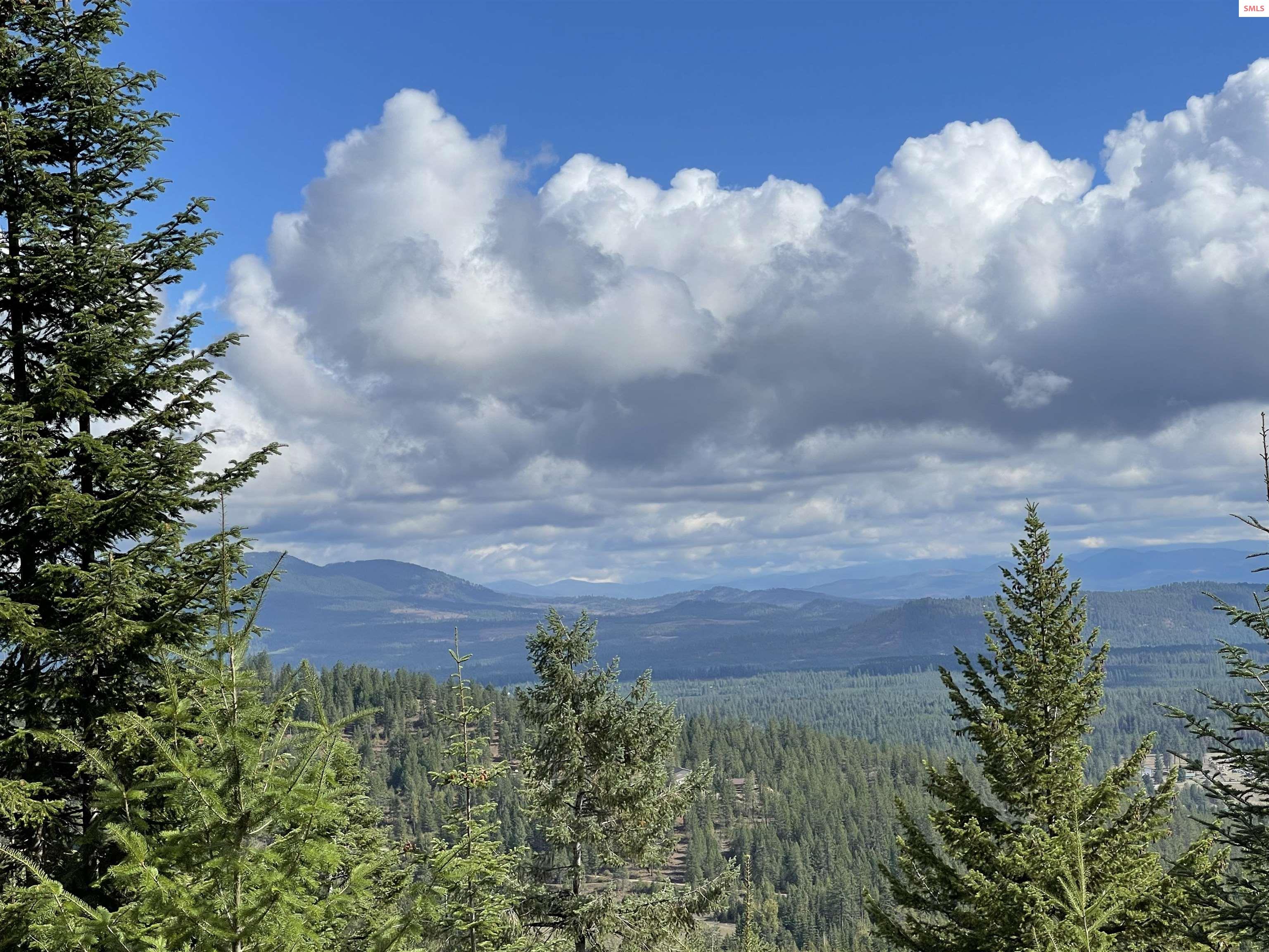 Land in Priest River 5