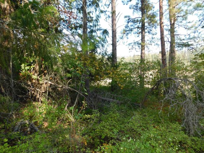 Lot 3 Highway 20 Hwy, Home with 0 bedrooms, 0 bathrooms and null parking in Cusick WA | Image 16