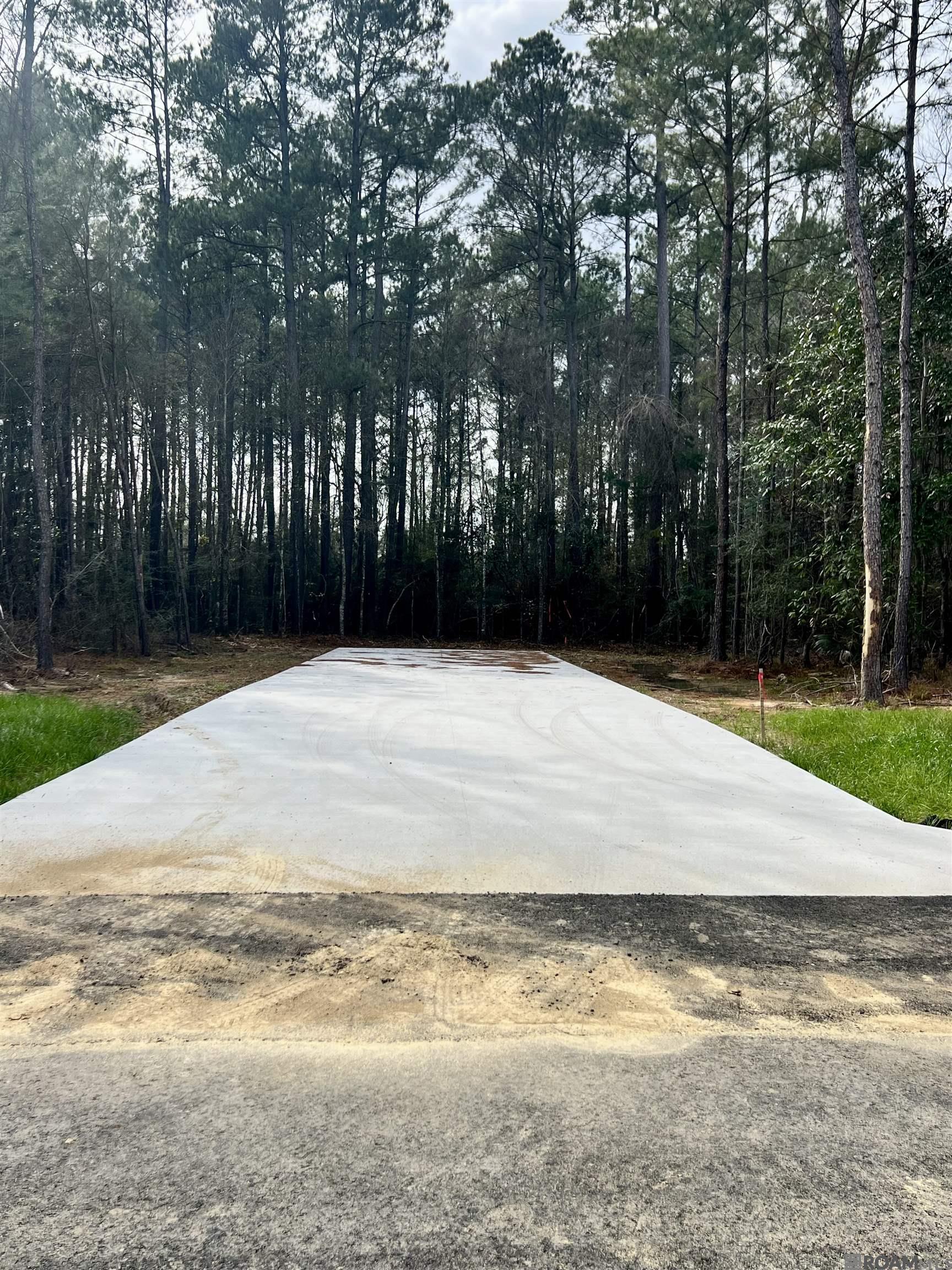 Land in Livingston 3