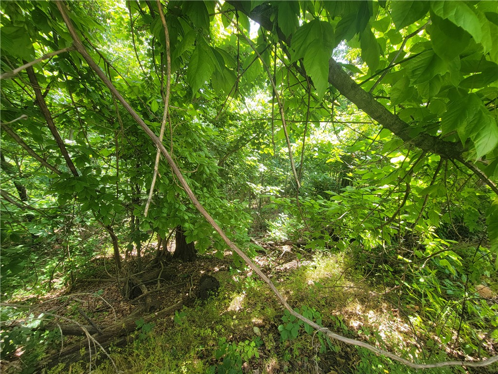 Land in Bella Vista 3