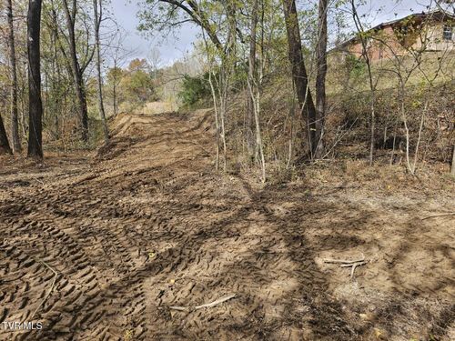 Tbd Blaine White Rd, Erwin, TN, 37650 | Card Image