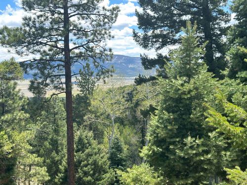 Lot 91AB Pam Coleman Dr, Angel Fire, NM, 87710 | Card Image