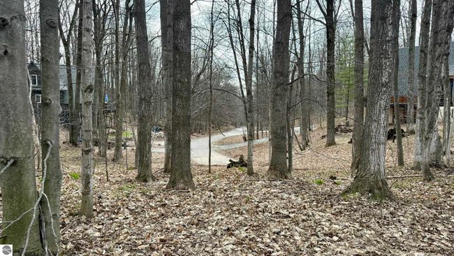 Lot 60 Val Disere, Home with 0 bedrooms, 0 bathrooms and null parking in Bellaire MI | Image 5