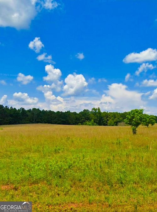 646 Spears Ln, Mansfield, GA, 30055-3176 | Card Image
