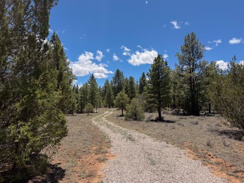 90 Cottonwood Loop, Ramah, NM, 87321 | Card Image