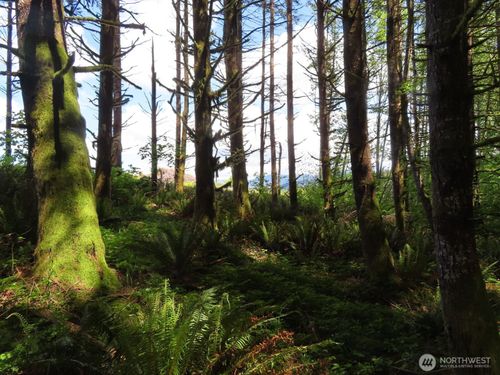 0 XXX Hockett Road, Onalaska, WA, 98570 | Card Image
