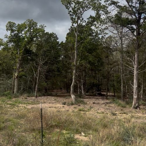 Lot 15 Antioch Rd, Paige, TX, 78659 | Card Image