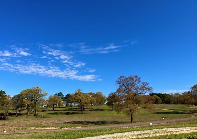 Lot 49 White Oak Creek Ranch, Home with 0 bedrooms, 0 bathrooms and null parking in Big Sandy TX | Image 11