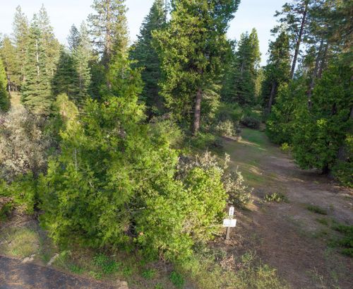 0 Leopard Lilly Ln, Shaver Lake, CA, 93664 | Card Image